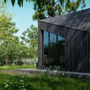 D5 Render Visualization Course